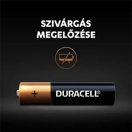 DURACELL LR3 BASIC BL10