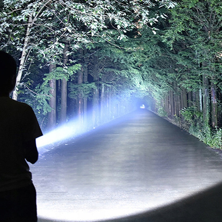 DURACELL LATARKA GUMOWA 80 LM 2AA