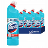 DOMESTOS 750ML ATLANTIC 20/45/900/ PL x5 /zestaw
