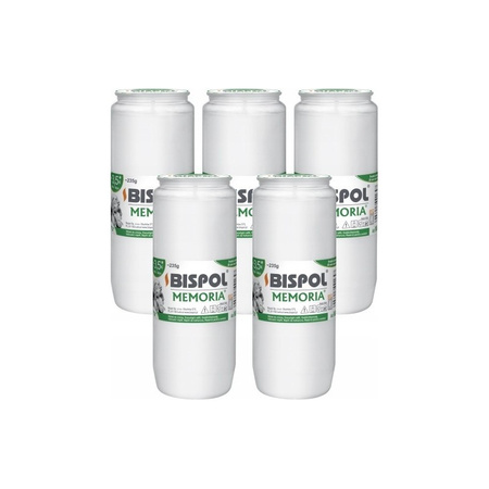 BISPOL wkład olejowy MEMORIA WO4 x24 / zestaw