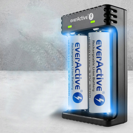 everActive Ładowarka do akumulatorków Li-ion LC-200 micro UBS