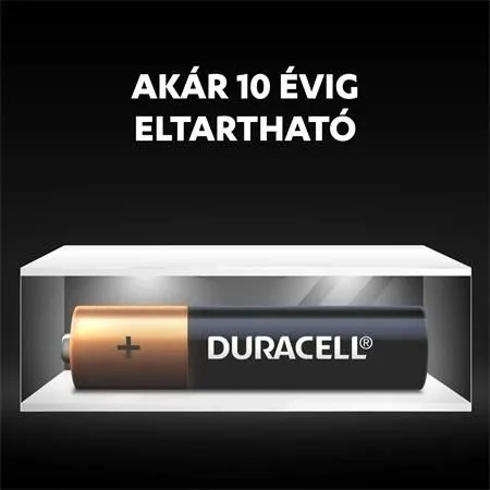 DURACELL LR3 BASIC BL10
