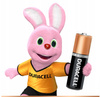 DURACELL LR6 BASIC BL12