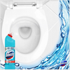 DOMESTOS 750ML ATLANTIC 20/45/900/ PL x5 /zestaw