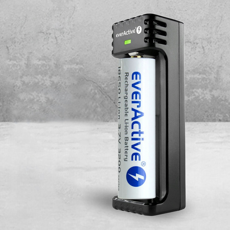 everActive Ładowarka do akumulatorków Li-ion LC-100 micro UBS