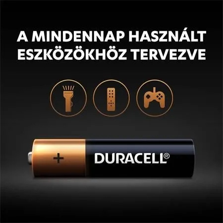 DURACELL LR3 BASIC BL10