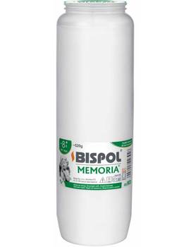 BISPOL wkład olejowy MEMORIA WO8