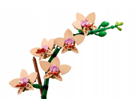 LEGO 10343 Mała Orchidea