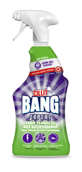 CILLIT BANG EXP TŁUSZCZ SPRAY 750ml
